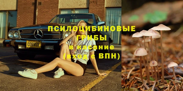 МДПВ Алзамай